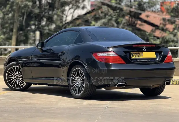 Mercedes-Benz SLK-Class SLK250 Convertible - 1