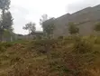 Kawangware Riruta Ardhi ya Biashara Inauzwa - 3