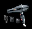 Sayona APPS SY-1000 Professional Hair Dryer 2000W Gold - 4