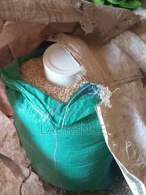 Dry Maize/Corn in 90kg Bags