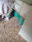 Mahindi Makavu katika Magunia ya 90kg - 4