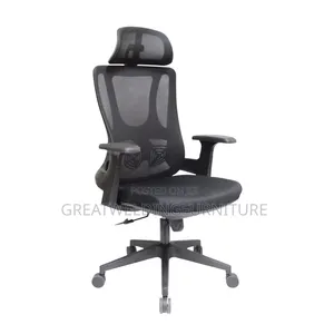 Ergonomic Mesh Office Chair FR9