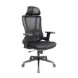 Ergonomic Mesh Office Chair FR9 - 2