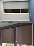 Roller Blackout Window Blinds - Home & Office - 1