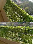 Beautiful Outdoor Artificial Balcony Privacy Fence Plants - 1