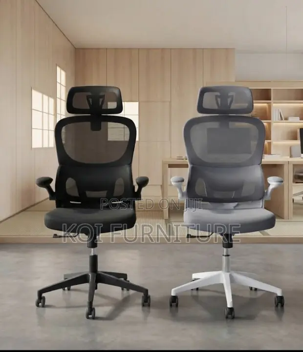 Executive Fabric Orthopedic Office Chair - 1
