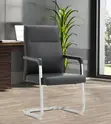 Kiti cha Kupokea cha Ngozi chenye Msingi wa Sled - Kipya Kabisa - 4