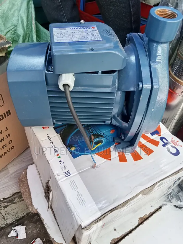 Pedrollo Heavy Duty Centrifugal Water Pump - 1