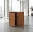 2-Door Office Storage Credenza - 3