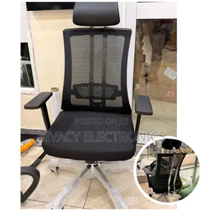 Managerial High-Back Orthopedic Mesh Office Chair