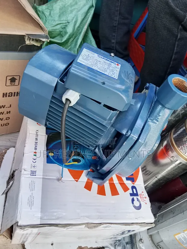 Brand New Pedrollo Electric Water Pump - 1