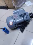 5hp STCL Electric Motor - 1