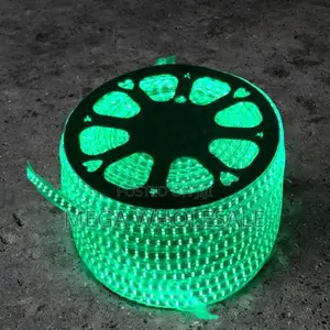 50M Green SMD LED Strip Light