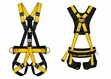 Full Body Harness - Brand New - 1