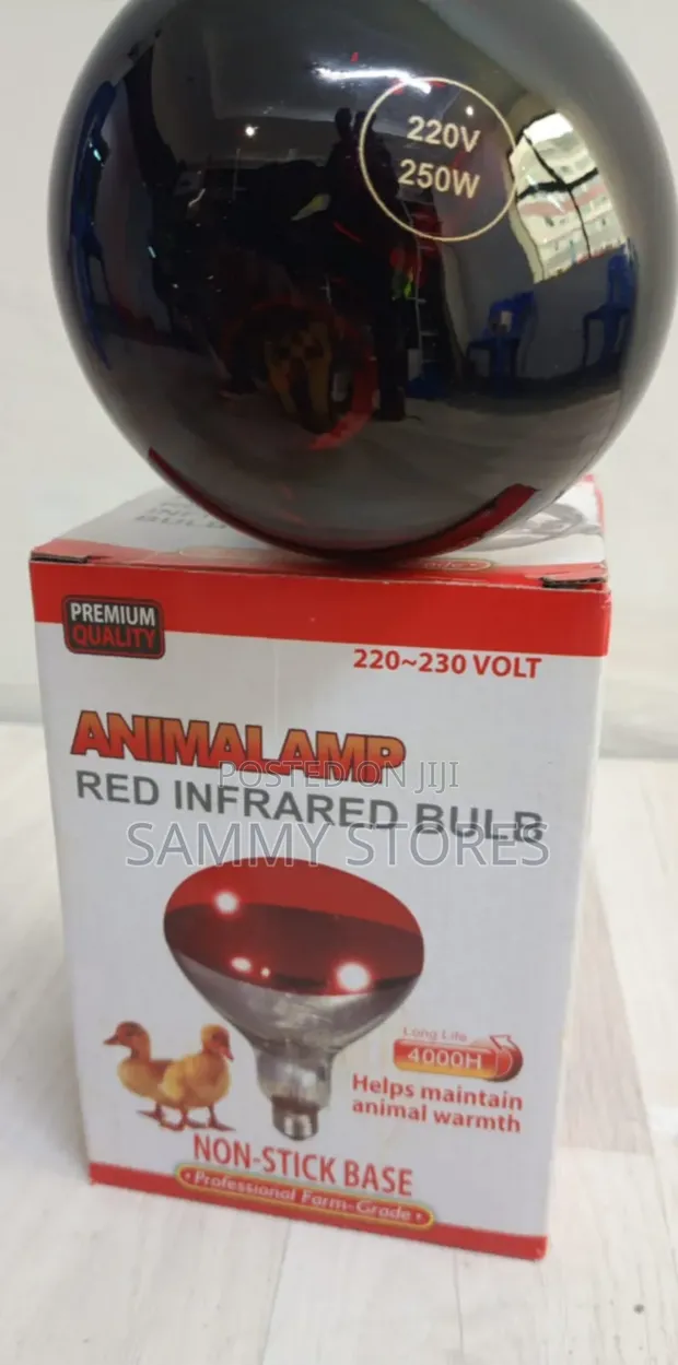 Poultry Farm Chicken Brooder Light Bulb - 1