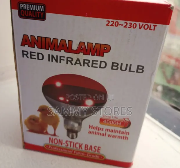 Chicken Brooding Heat Lamp for Chicks - 1