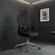 Brand New High Back Orthopedic Office Chair - Black - 2