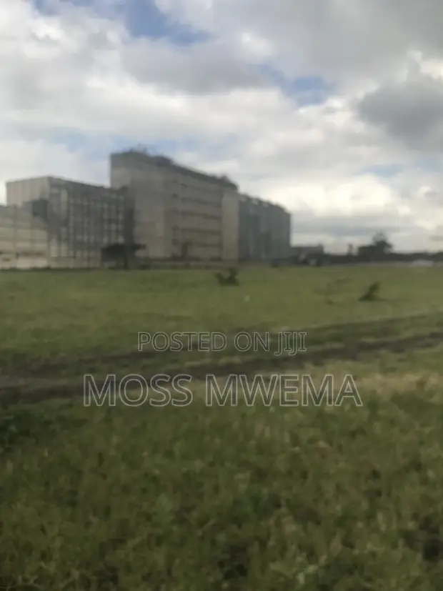 Mfanyakazi Mkuu - Full-time/Casual/Contract - 1