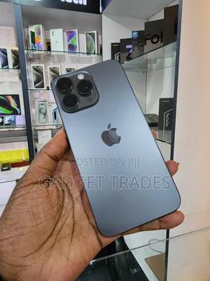 Apple iPhone 15 Pro Max 256GB Gray