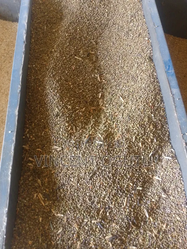 Dengu for Animal Feed - 1