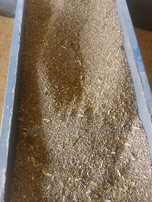 Dengu for Animal Feed