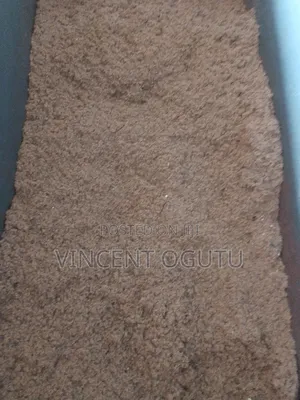 Cotton Seed for Animal Feed