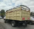 Isuzu FSR 33 Lori Rigid - 3