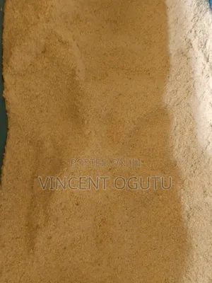 Maize Germ for Animal Feed