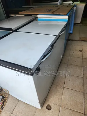 Premier Freezer Milango Miwili 500L Imetumika