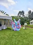 Birthday Decor Services by Petals - 4