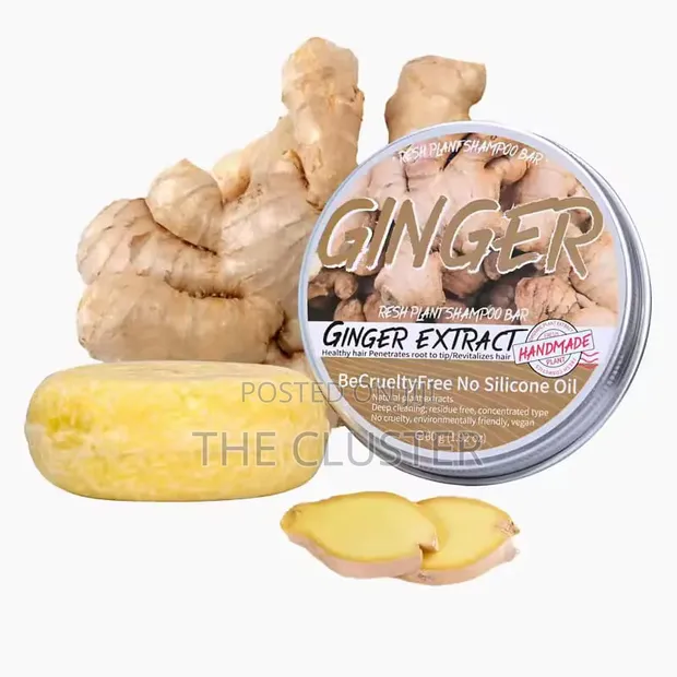 Organic Ginger Shampoo Bar Soap - 1