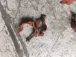 Forged Double Coupler Scaffolding Clamp (90 Degree Swivel) - 2