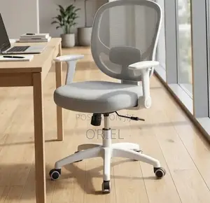 Adjustable Kids Mesh Study Desk Chair - Gray