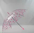 Transparent Umbrella - Flowered & Polka Dot - 5