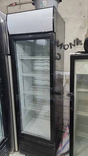 Friji la Kuonyesha la 300L kutoka Uingereza