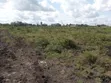 Kiwanja cha Makazi cha Syokimau 50x100 Barabara ya Community - 2