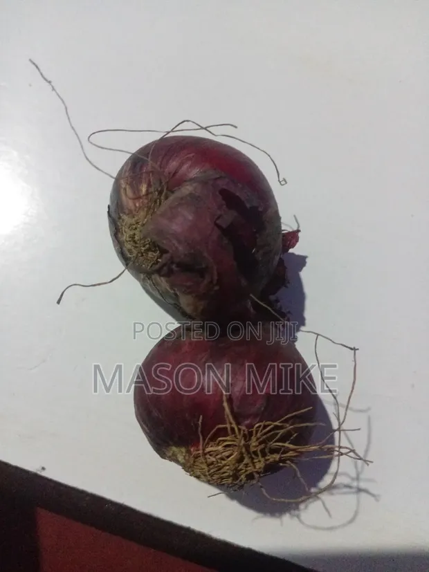 Fresh Onions Available - 1