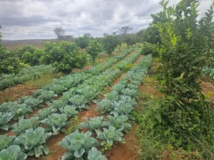 Vipande vya Eka 1 Vinauzwa Kajiado