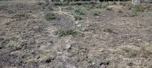 Kiwanja cha Makazi Syokimau Katani Road 50x100 Jacaranda Court