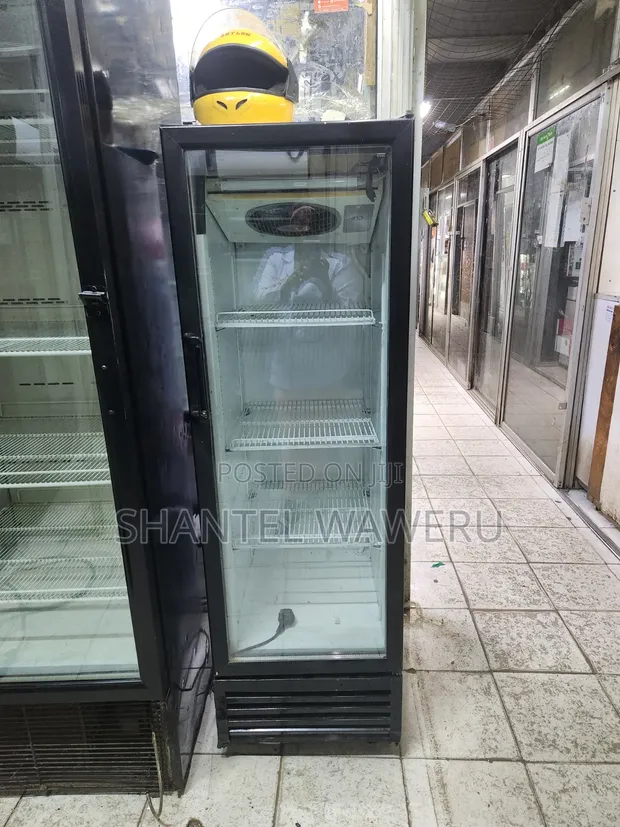 300L Showcase Display Fridge - 1