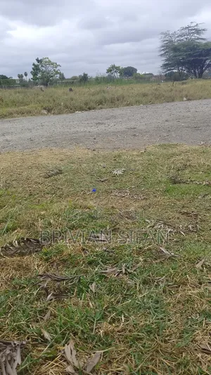 Kitalu cha Kuuzwa Bungoma