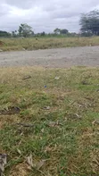 Kitalu cha Kuuzwa Bungoma - 2
