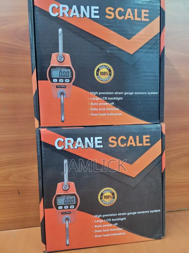 300KG Digital Crane Scale - RN - 1