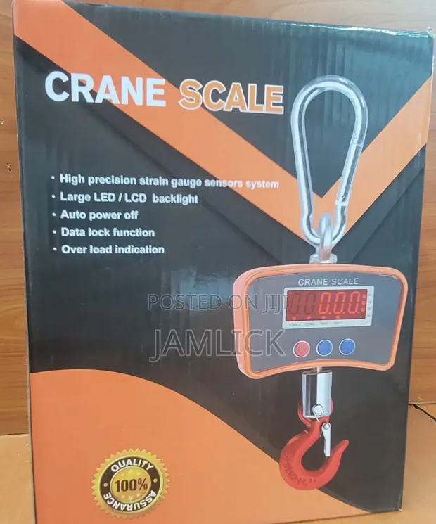 500KG High Precision Strain Crane Scale - 1