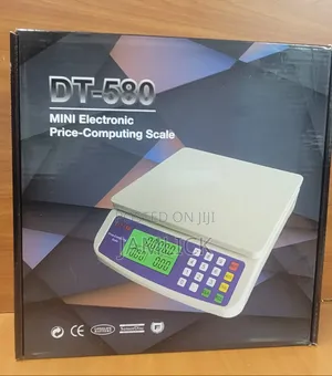 DT-580 Mini Electronic Price Computing Scale