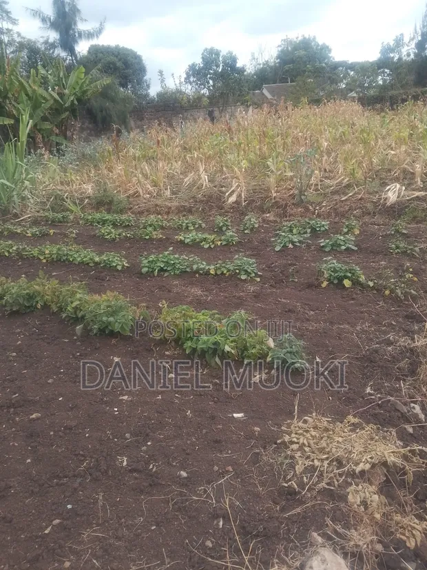 1 Acre Mixed-Use Land for Sale in Ngei Estate - 1