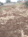 1 Acre Mixed-Use Land for Sale in Ngei Estate - 3