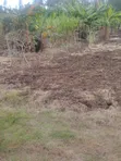 1 Acre Mixed-Use Land for Sale in Ngei Estate - 4