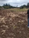 1 Acre Mixed-Use Land for Sale in Ngei Estate - 5