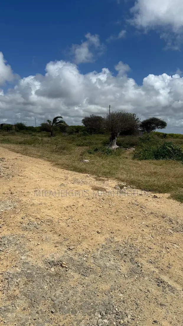 Prime 50x100 Plots for Sale in Malindi Mayungu - 1
